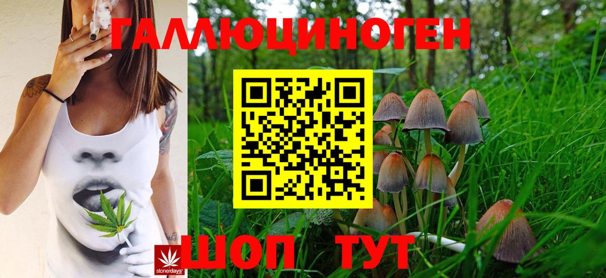 Щёкино  Галлюциногенные грибы Cubensis  Вход с VPN 